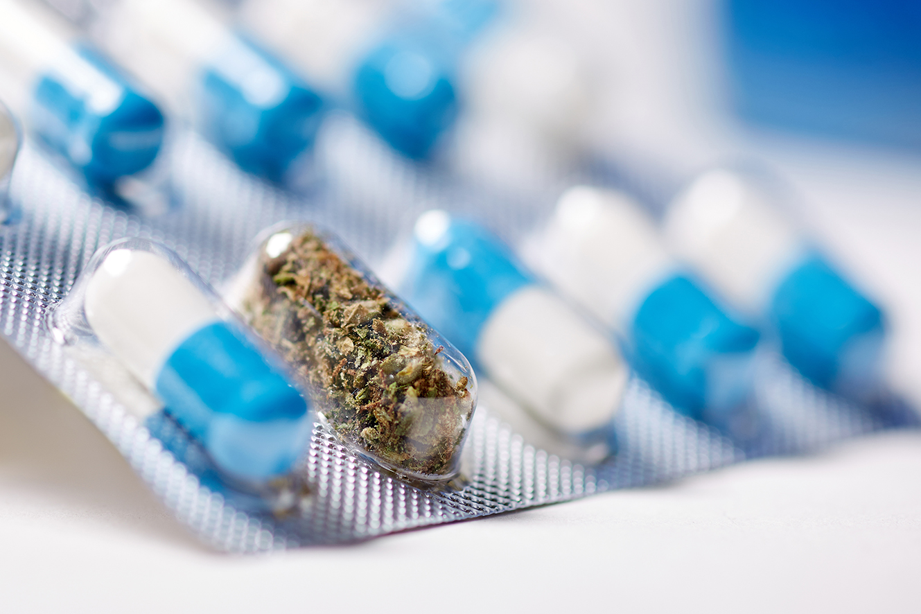 Legalizing marijuana for medical purposes in North America. A ca