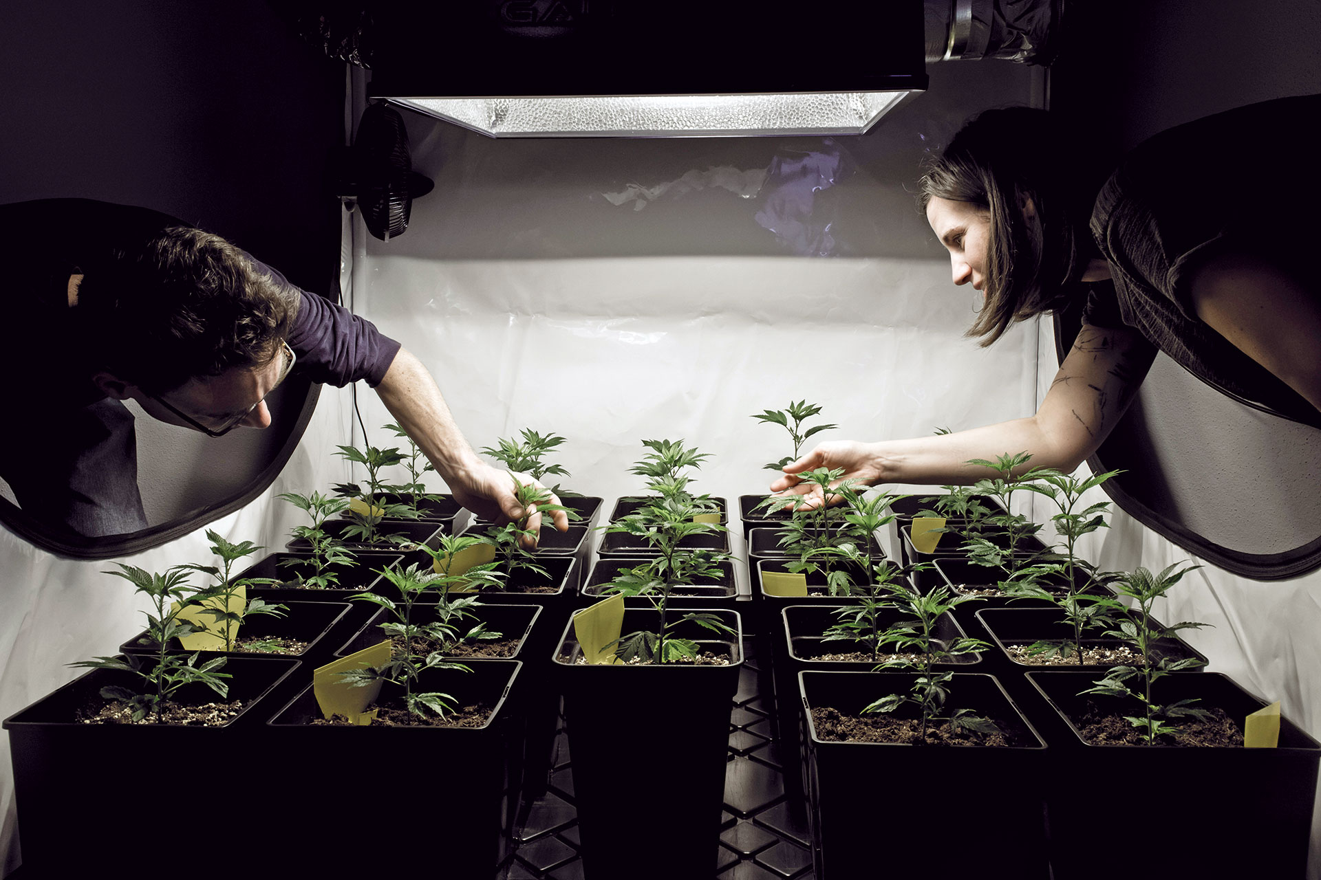 cbd_werkstatt_nu