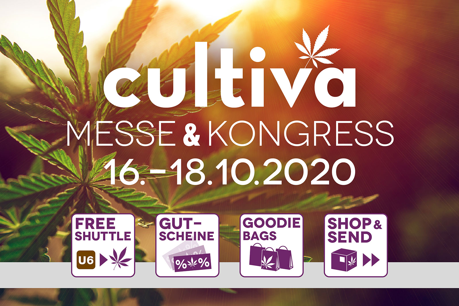 CULTIVA_TGH_Inserat_ONLINE_2400x1600px_FIN_RGB